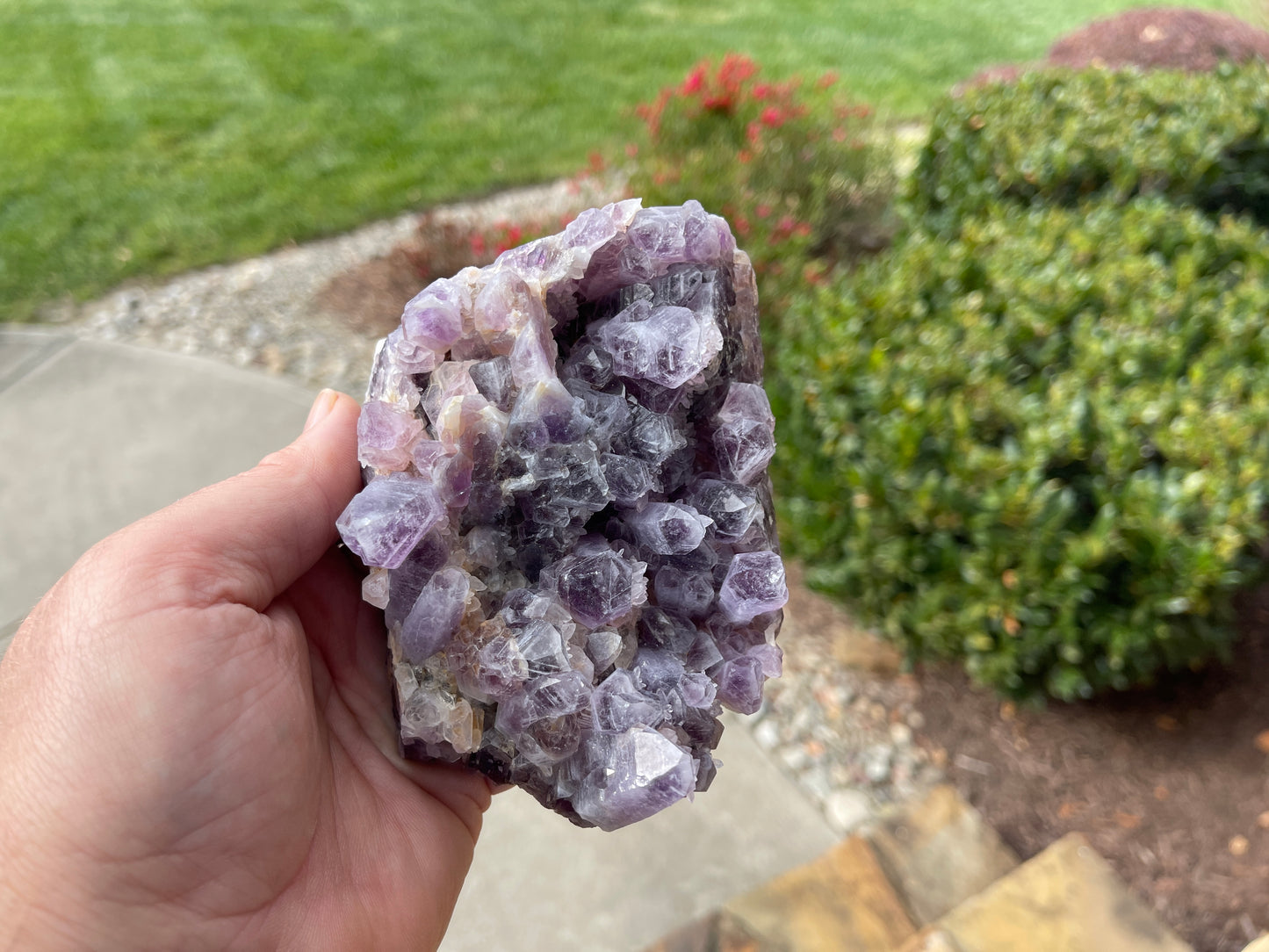Guerrero Amethyst Cluster